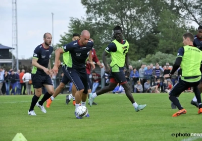 OH Leuven wil Essevee nieuwe kater bezorgen