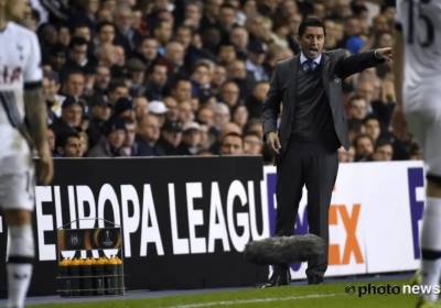 Dit is waarom Hasi nog steeds gelooft in overwintering