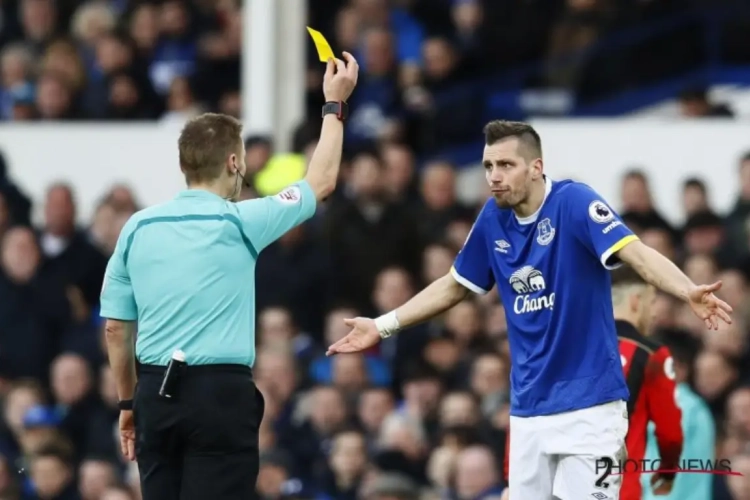 Morgan Schneiderlin gaat terug in Frankrijk voetballen
