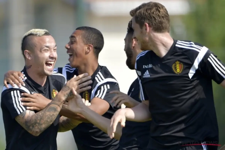 Zware kanttekening bij selectie Nainggolan: "Niet euforisch worden, ik denk niet dat hij erbij zal zijn"