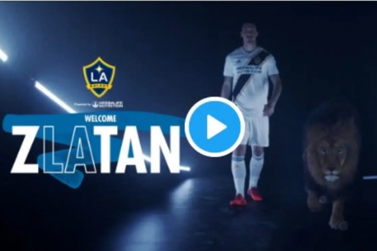? Zo kondigt Galaxy zLAtan aan: filmpje met een leeuw en fantastische quote