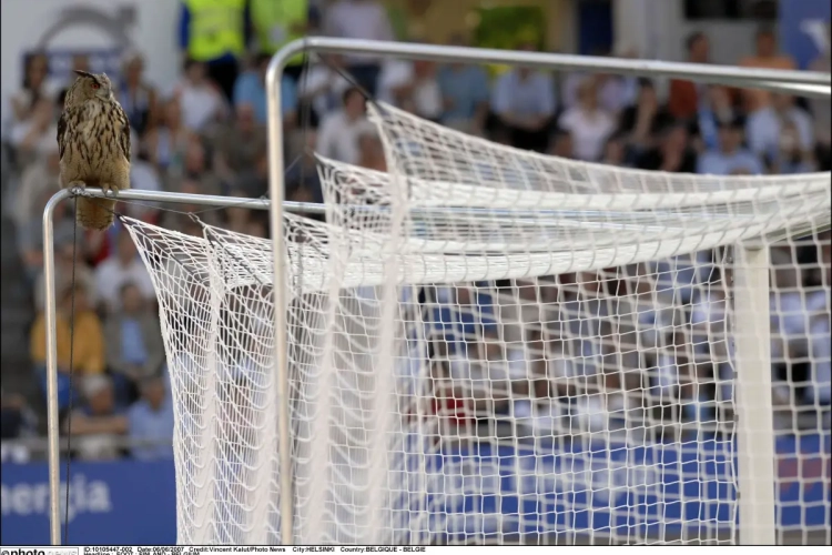 Eerste EK-deelname ooit dichtbij voor Finland na nieuwe winst