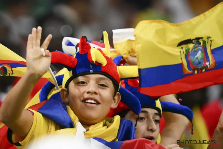 🎥 Ecuadoraanse fan krijgt woedende Qatari over zich na provocerend gebaar bij afkeurde goal