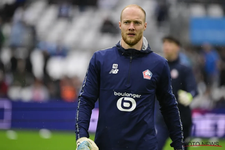 'Arnaud Bodart op de tocht bij Lille: opvolger komt uit de Jupiler Pro League'