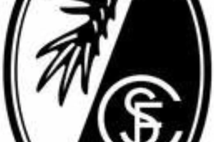 Freiburg haalt spits bij Wolfsburg