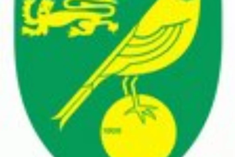 Soley test bij Norwich City