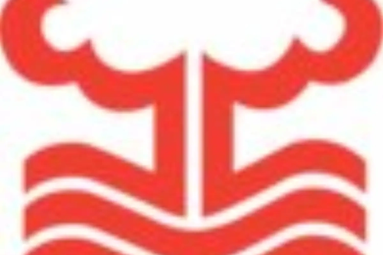 Zien we Nottingham Forest terug in Premier League?