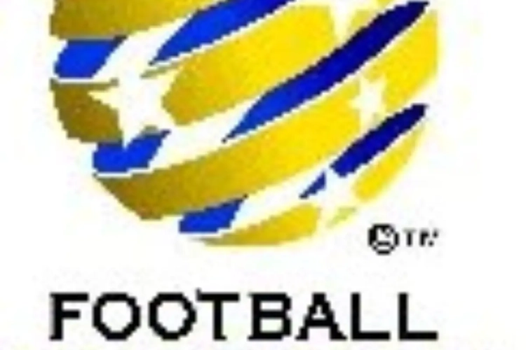 Geblesseerde Viduka denkt aan terugkeer bij Australië