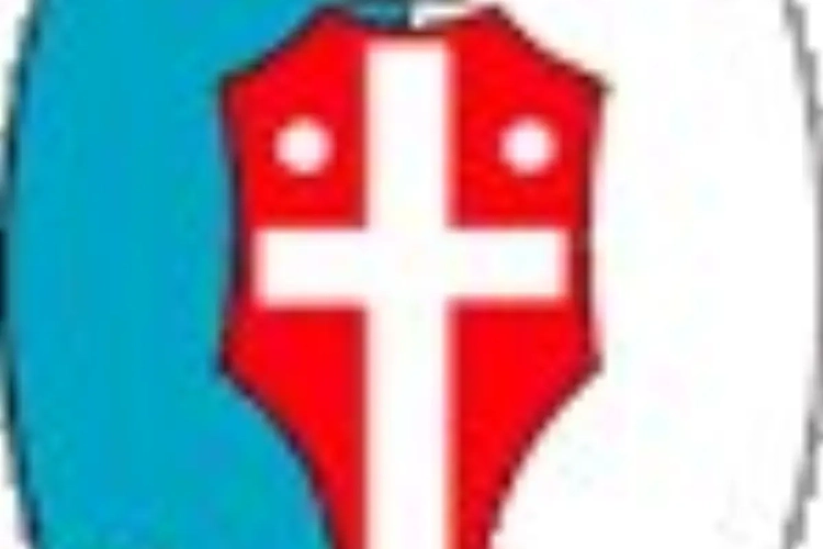 Fans Treviso slagen bestuursleden in ziekenhuis