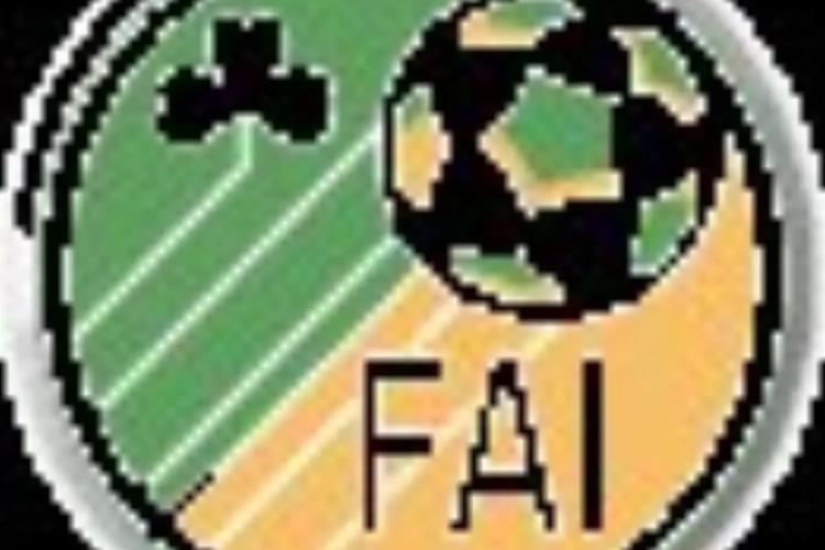 Finnan terug international