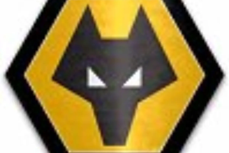 Wolves: opnieuw een 'vechtend' seizoen