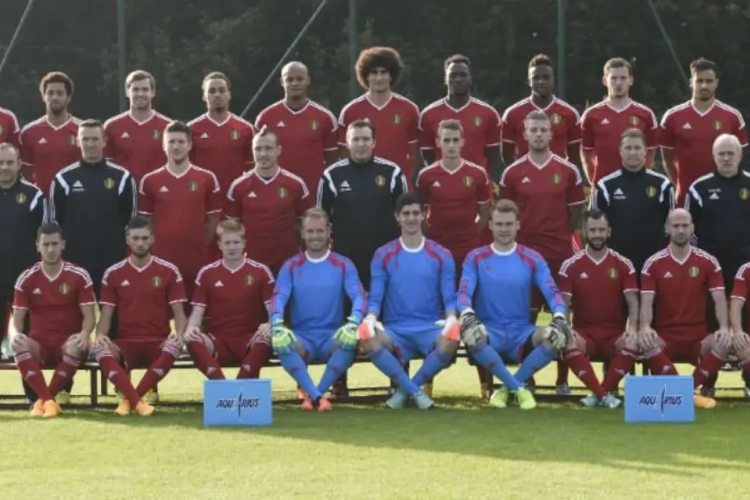 Deze namen neemt Wilmots mee