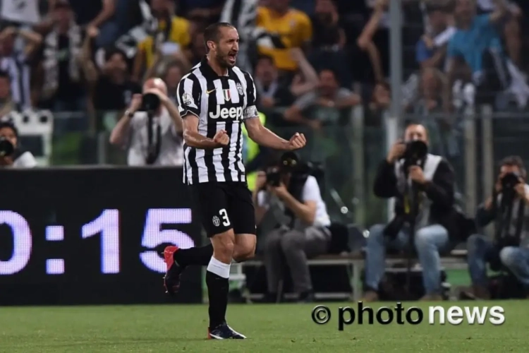 Van deze rasverdediger is Wilmots helemaal zot