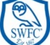 Mandaric gaat zich moeien met Sheffield Wednesday