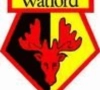 Watford City nipt gered van curator