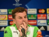 Wolfsburg-coach heeft respect voor Gent: "België is allang geen klein voetballand meer"