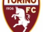 Torino overtuigd van Dzemaili