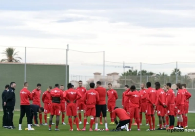 Antwerp trekt lessen uit het WK veldrijden: "We willen onze handen niet te vroeg in de lucht steken"