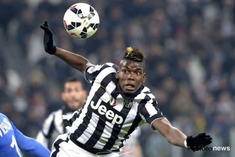 Oude Dame wakkert prijzenoorlog voor Frans goudhaantje aan